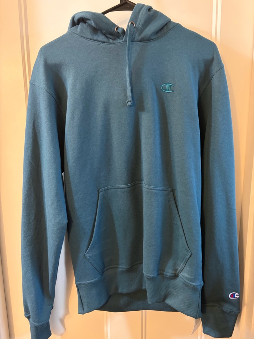 Champion Teal Hoodie with Grey Interior and Red-Blue Trim
